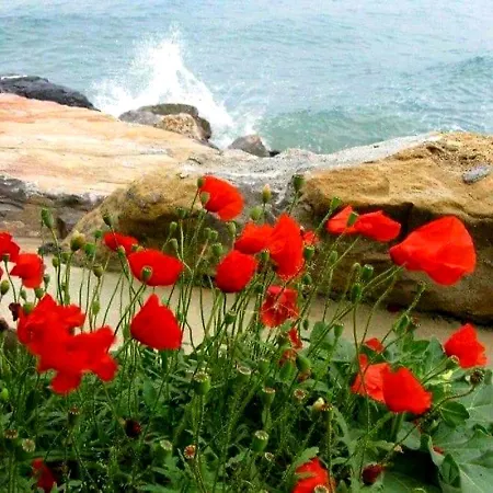Apartament Yvo Mermaid & / Mangalia Saturn