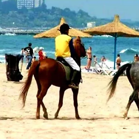 Yvo Mermaid & / Mangalia *