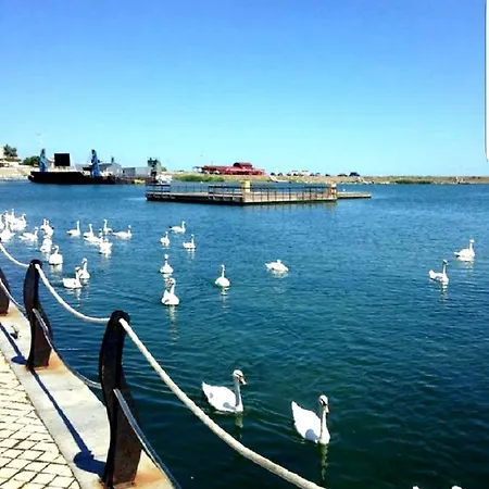 Yvo Mermaid & / Mangalia סאטורן