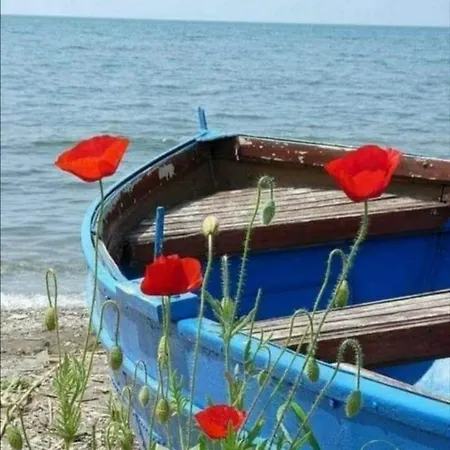 Apartament Yvo Mermaid & / Mangalia *